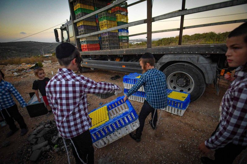 ארי קופרשטוק