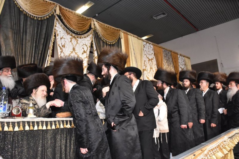 יהודה פרקוביץ