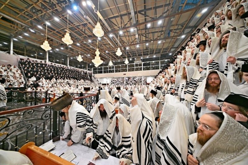 יהושע פרוכטר