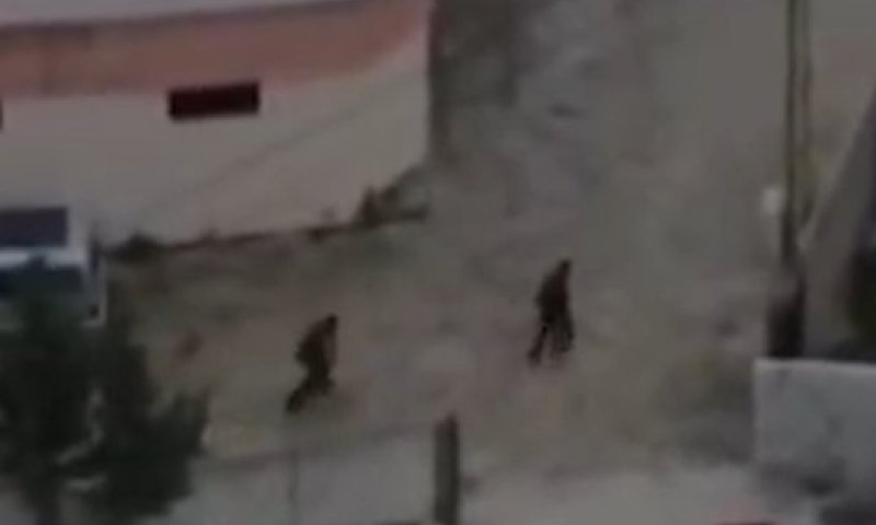 צפו בתיעוד: חיסול מחבלי חיזבאללה חמושים שהתקרבו לכוחות