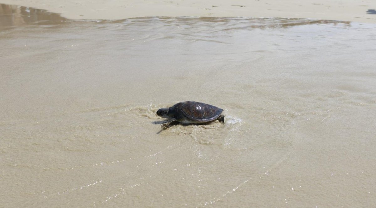  רויטל מזרחי מתנדבת רשות הטבע והגנים