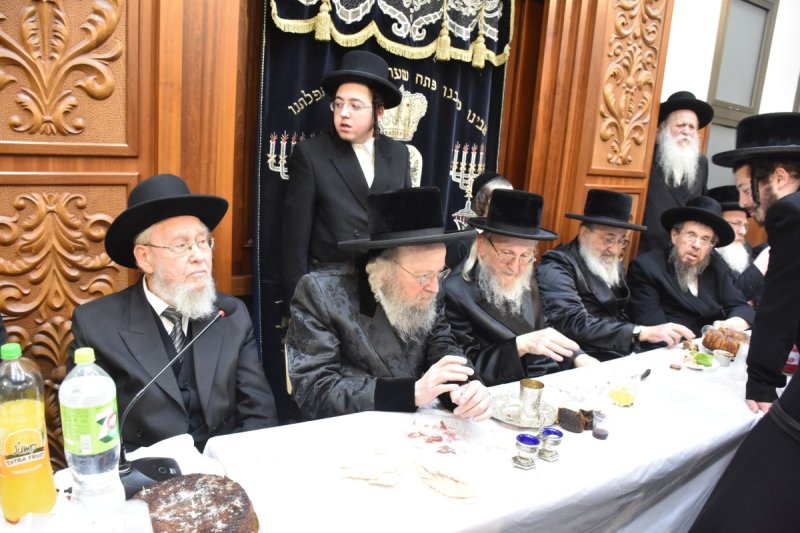 יהודה פרקוביץ