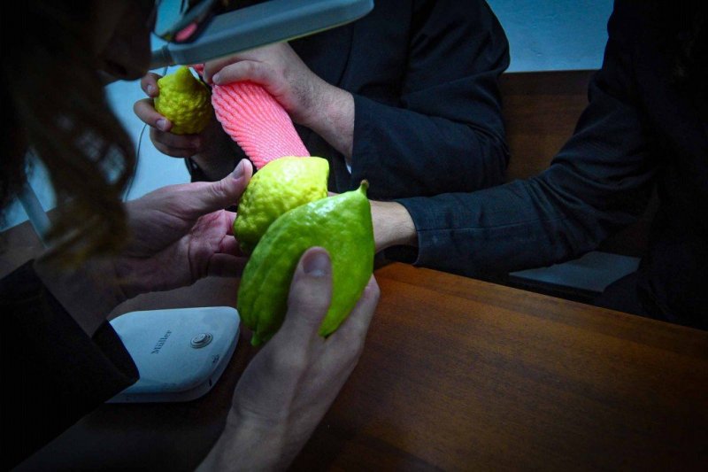 ארי קופרשטוק