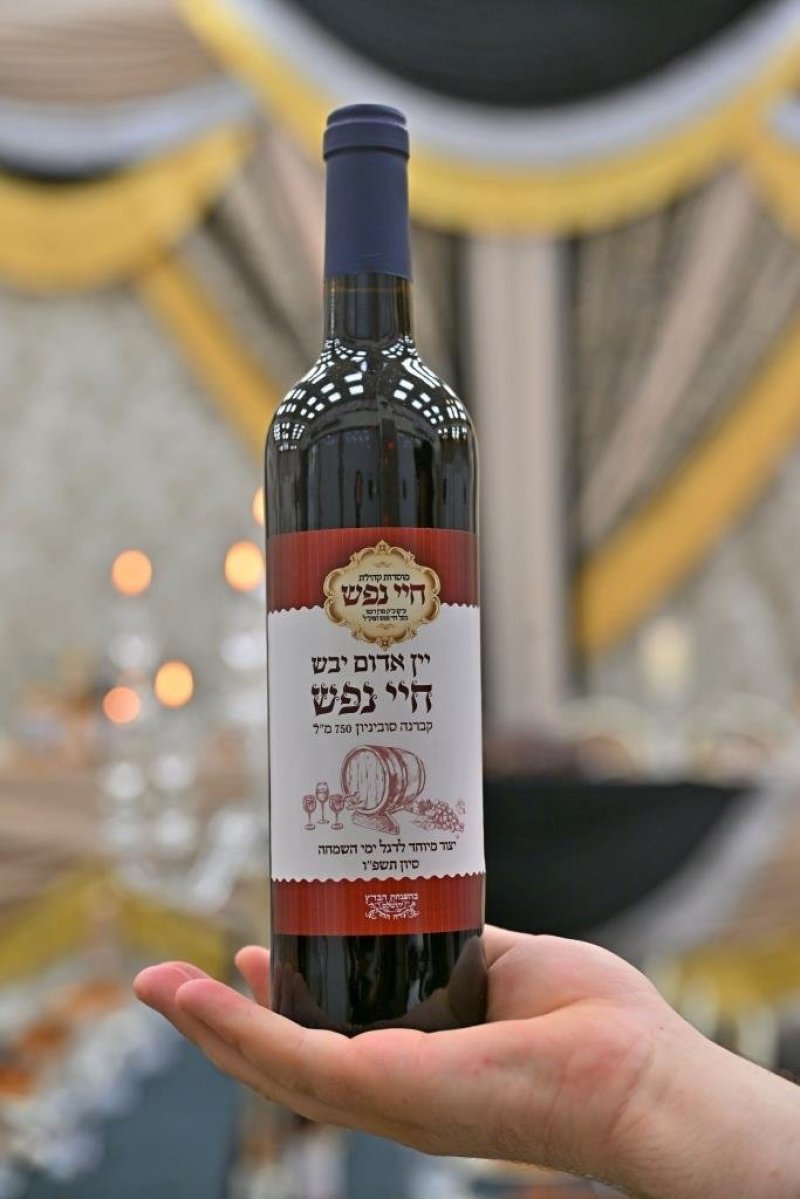 יהושע פרוכטר