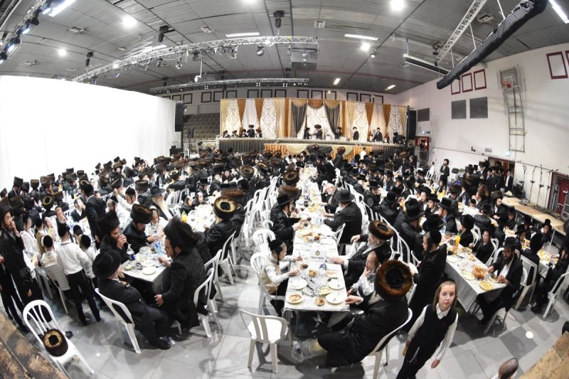 יהודה פרקוביץ