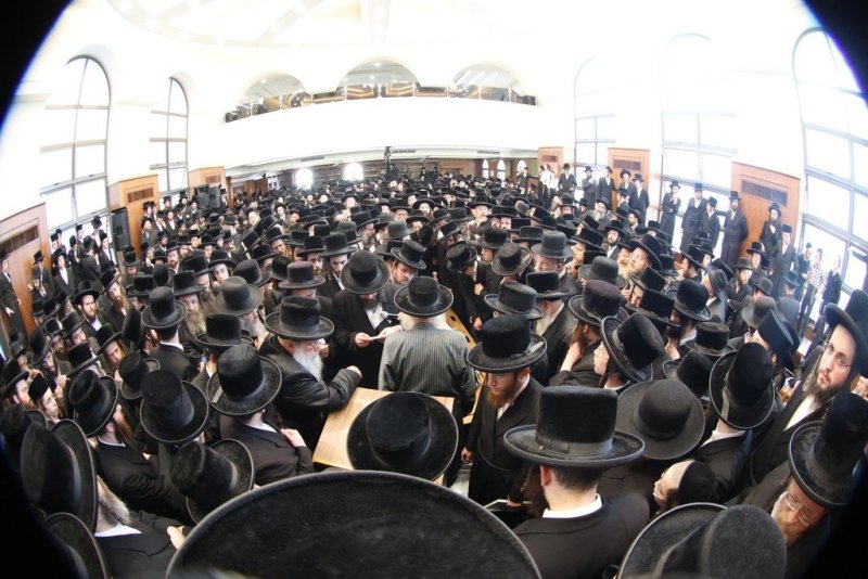 שלומי טריכטר