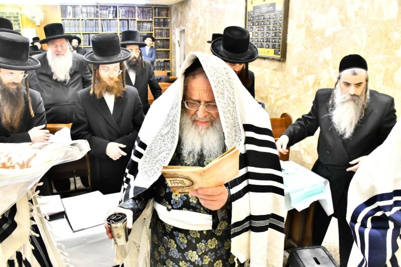 שוקי לרר