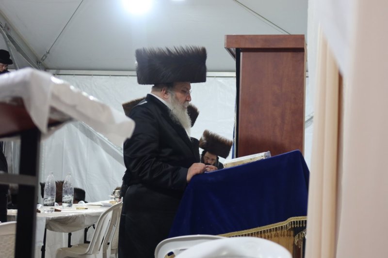 מ. אדלר