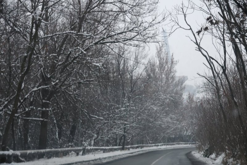צילום: מרדכי לובעצקי