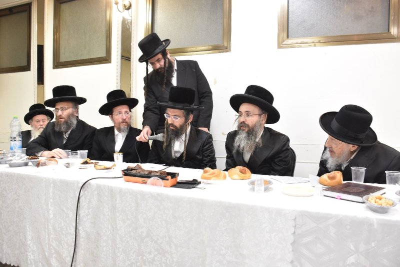 יהודה פרקוביץ