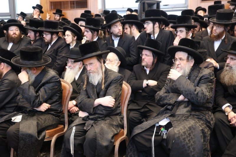 שלומי טריכטר