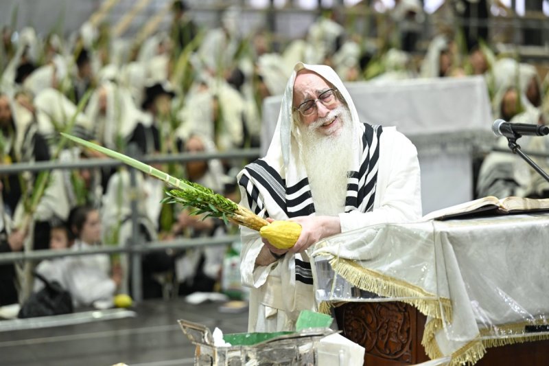 משה גולדשטיין