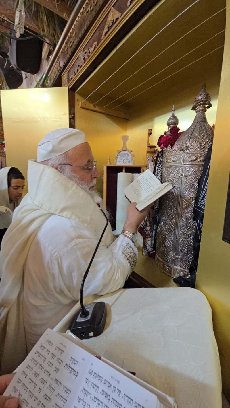 שלומי טריכטר ומ.פ