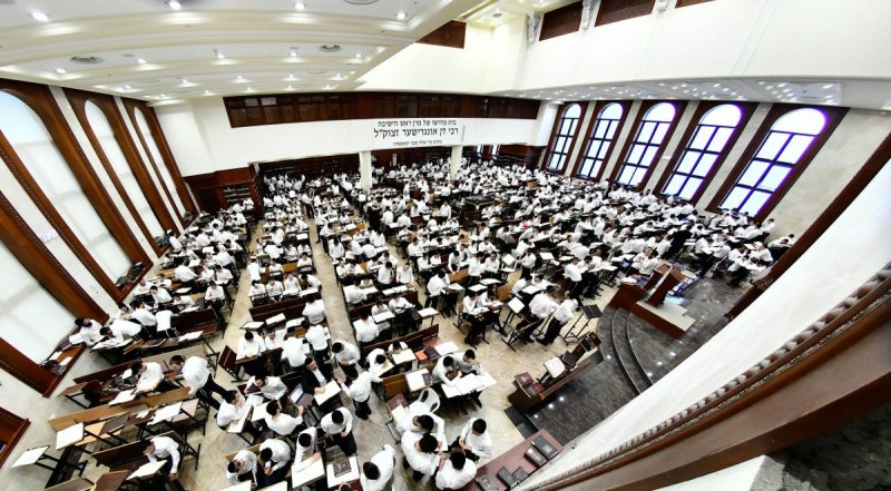 שוקי לרר