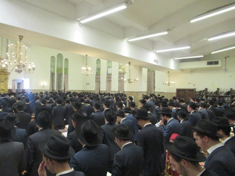 באדיבות המצלם