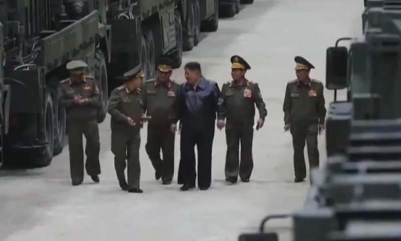 קים ג'ונג-און פיטר בכיר: "חסר תועלת, עז שמושכת עגלת שוורים"