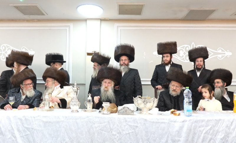 שימי פ.