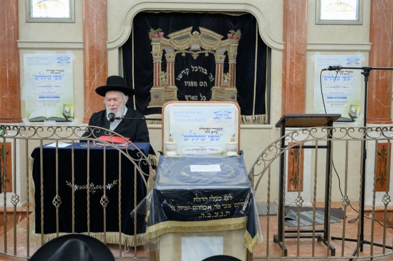 מנדי רוט