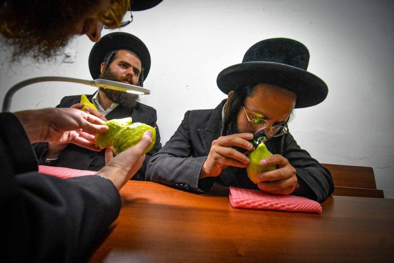 ארי קופרשטוק