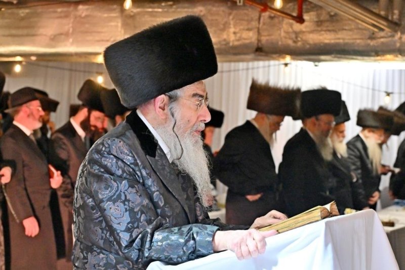 יהושע פרוכטר