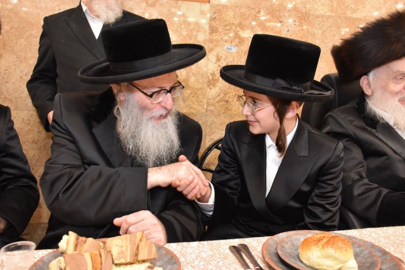יהודה פרקוביץ