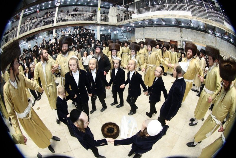 שלומי טריכטר