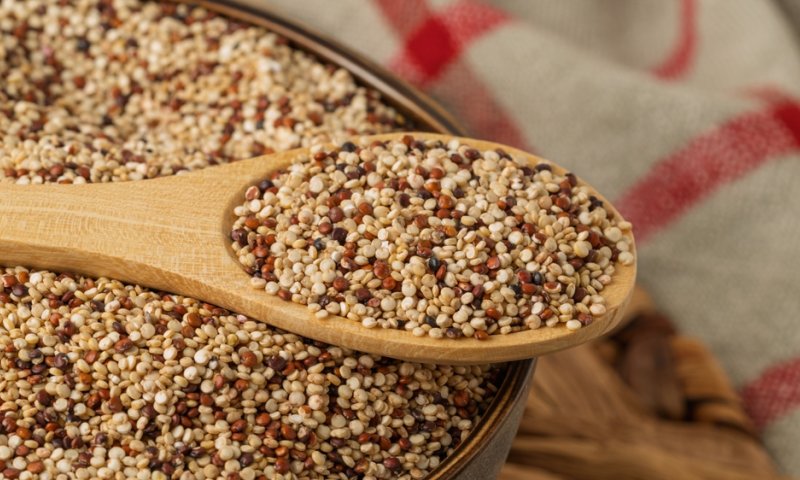 אחת ולתמיד: מדוע קינואה היא הפחמימה הכי בריאה בטבע