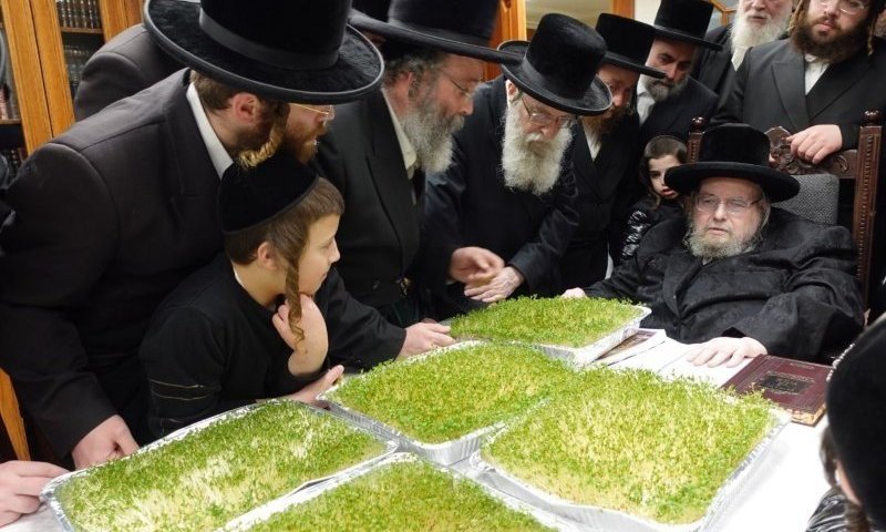 מה'זערזיך' ועד נעילת החג: 134 תמונות מסכמות מחג הפסח בבעלזא