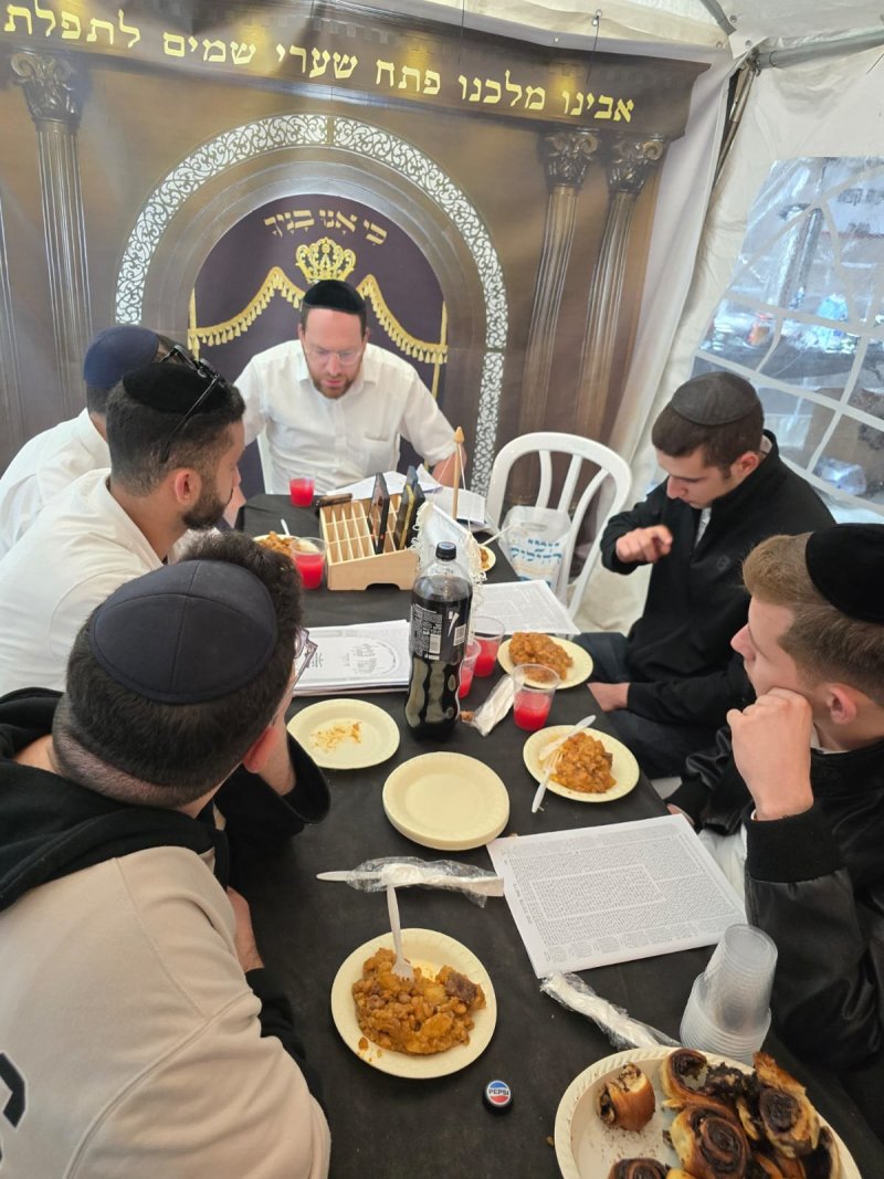 אלחנן קוטלר