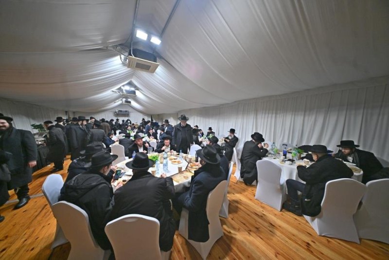 יהושע פרוכטר