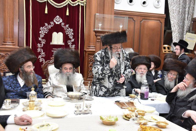 יהודה פרקוביץ