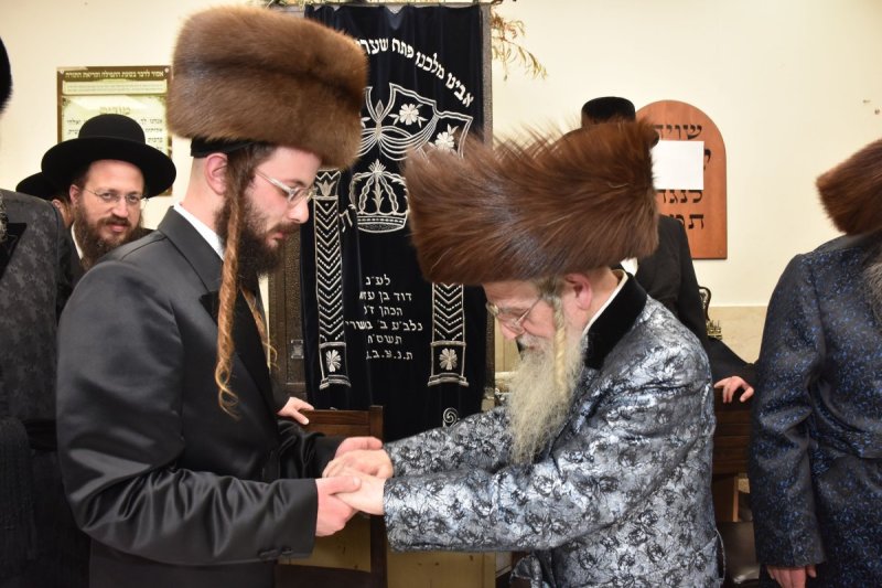 יהודה פרקוביץ