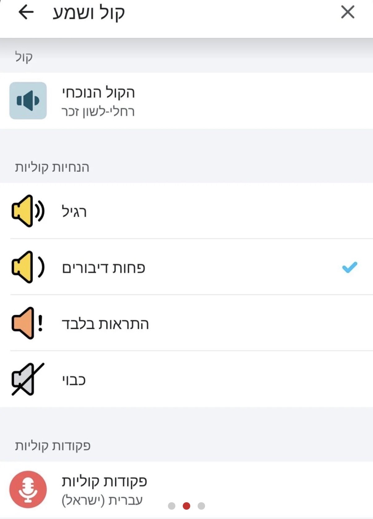 צילום מסך