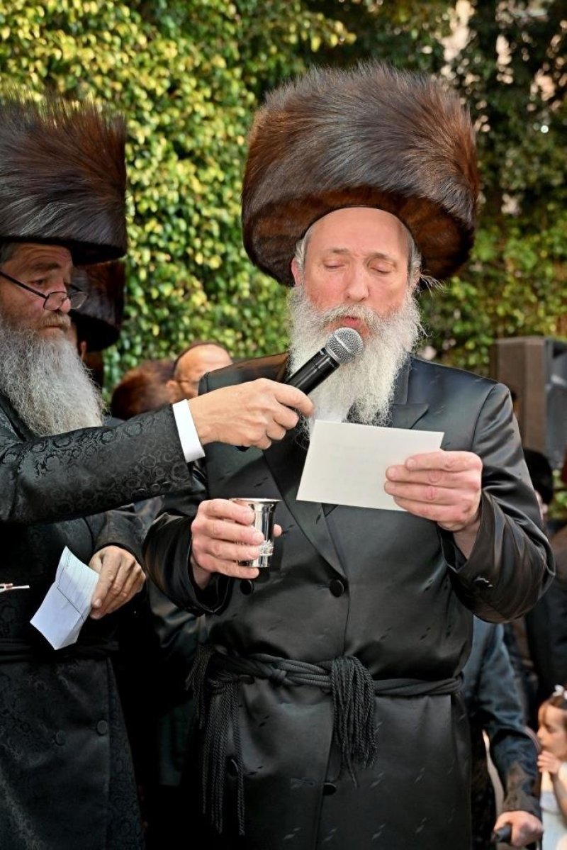 יהושע פרוכטר
