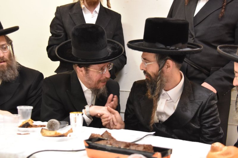 יהודה פרקוביץ