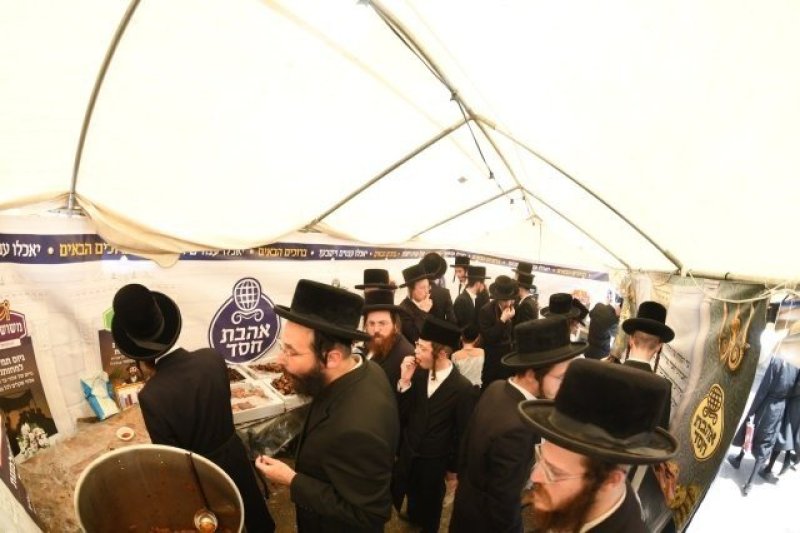 אנשיל בעק וא.מ.ש