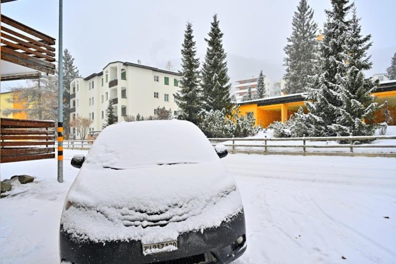 יהושע פרוכטר