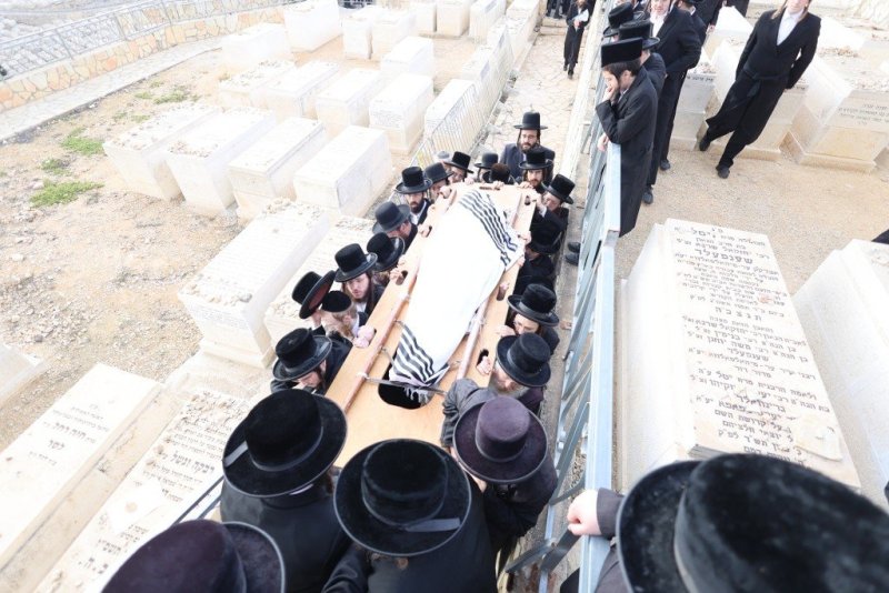 שלומי טריכטר