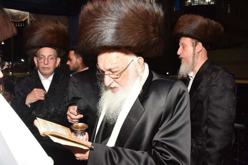 יהודה פרקוביץ