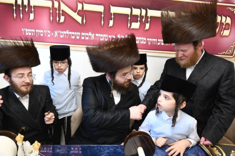 אנשיל בעק