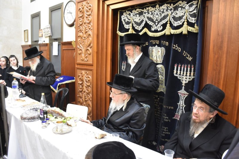 יהודה פרקוביץ