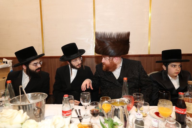שלומי כהן