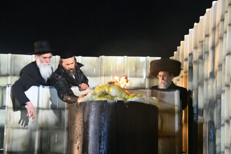 ארי קופרשטוק