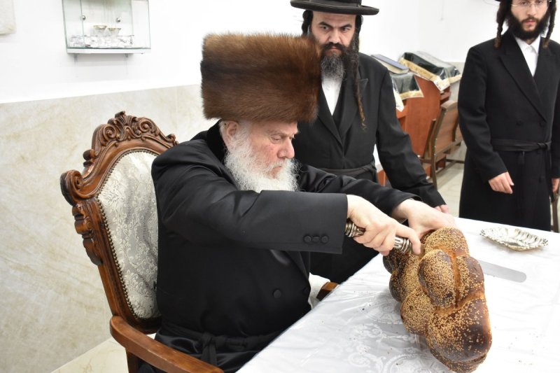 יהודה פרקוביץ