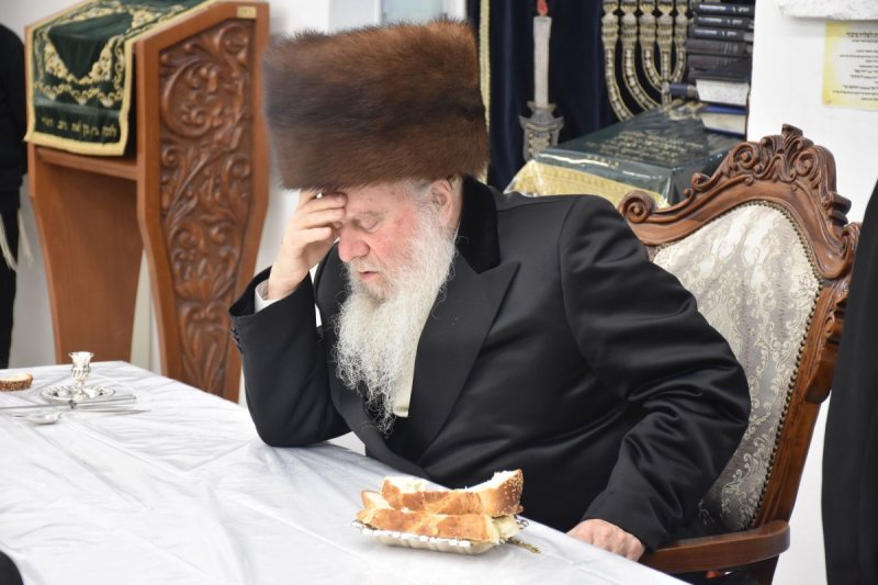 יהודה פרקוביץ