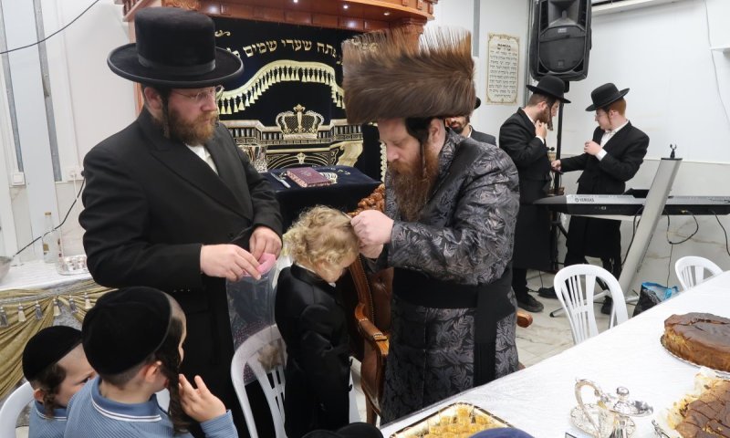 מחלפות זהב: שמחת החלאק'ה לבן האדמו"ר ממיאלען בשילוב הילולא