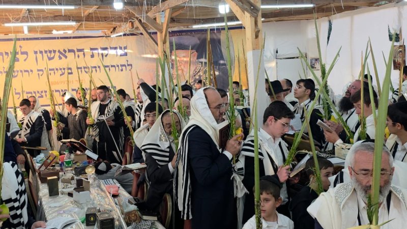 באדיבות המצלם