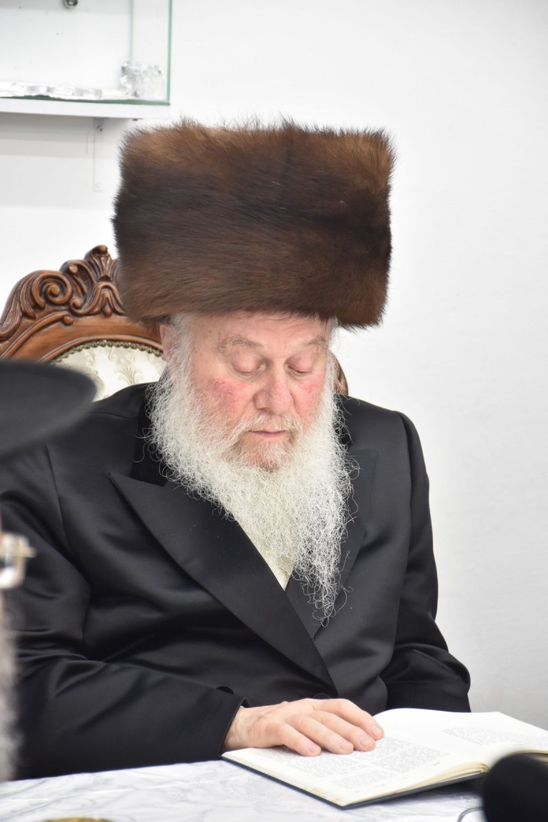 יהודה פרקוביץ