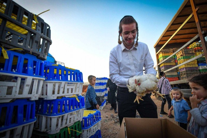 ארי קופרשטוק