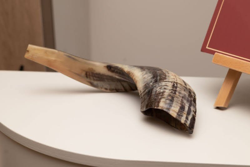 אלי יוריבנה